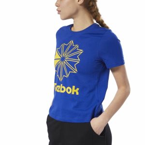 Koszulki Damskie Reebok Classic Big Logo Graphic Głęboka Zielone Żółte PL 20CYAWF